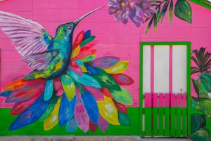 From Cancún/Playa del Carmen: Holbox Island Tour