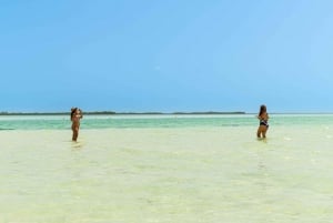 Desde Cancún/Playa del Carmen: tour por la isla Holbox