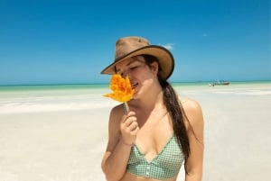 Desde Cancún y Playa del Carmen: Descubre lo Mejor de Holbox