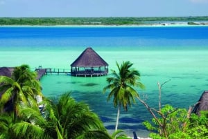 Desde Cancún y Playa del Carmen: Descubre lo Mejor de Holbox