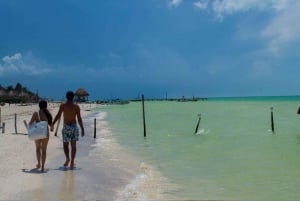 Desde Cancún y Playa del Carmen: Descubre lo Mejor de Holbox