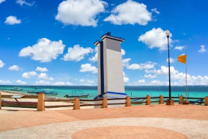 From Cancún: Puerto Morelos Guided Taco Tasting Tour