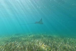 Desde Cancún: Aventura de snorkel en Puerto Morelos con aperitivos