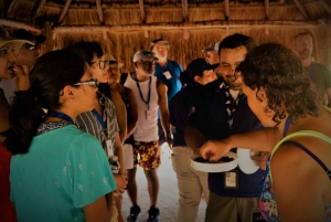 From Cancun/Riviera: Kaan Luum with Cenotes & Lunch Day Trip