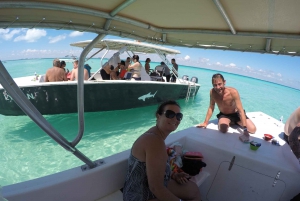 From Cancun/Riviera Maya: Guided Whale Shark Snorkeling Tour