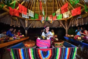 Desde Cancún y Riviera Maya: parque Xoximilco con transporte