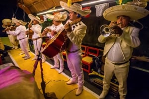 Desde Cancún y Riviera Maya: parque Xoximilco con transporte