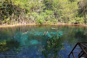 From Cancun: Tulum Cenote