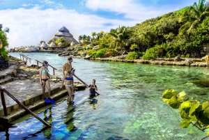 From Cancun: Xcaret Park with Night Show and Transportation