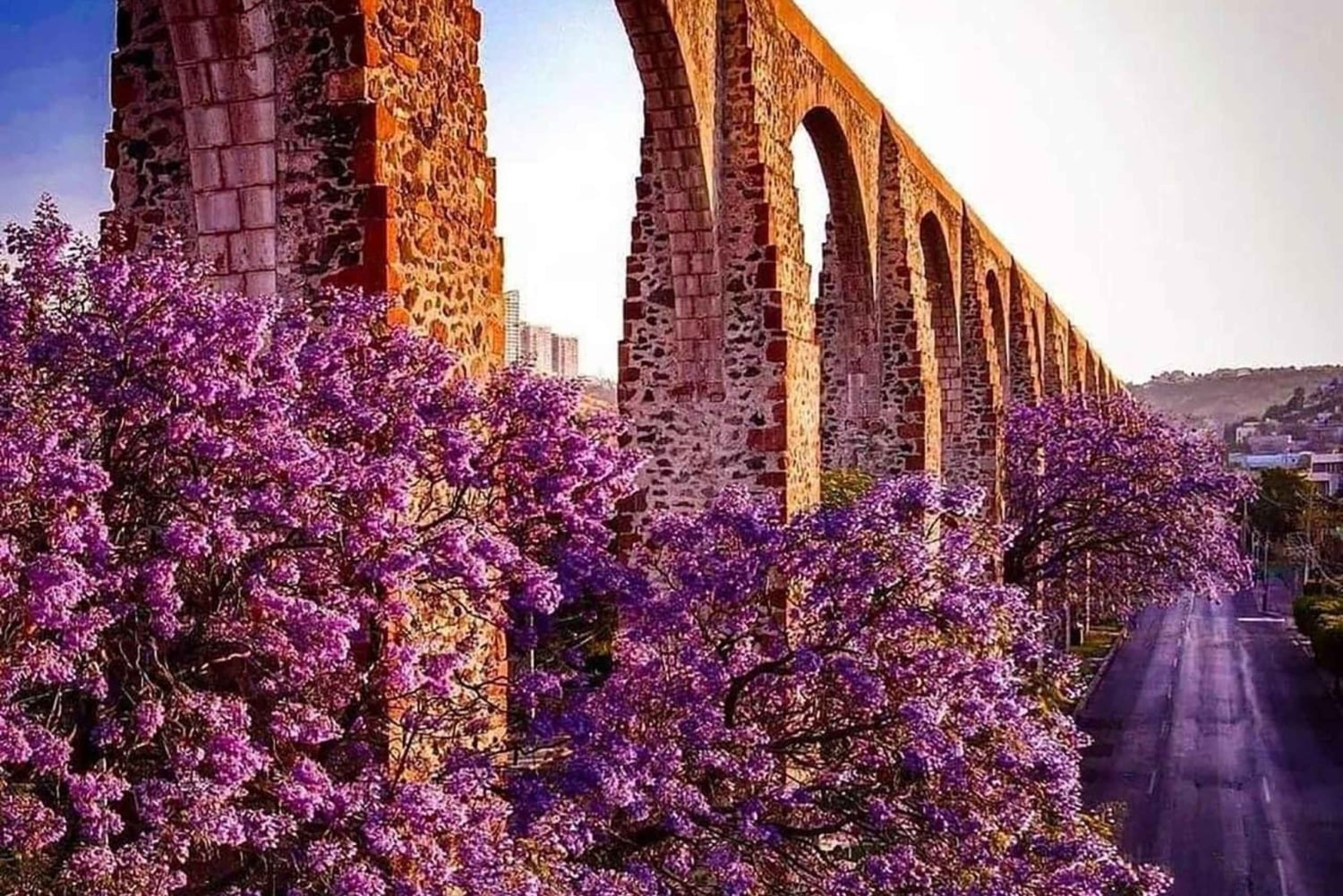 DESDE CDMX y PUEBLA: Queretaro, Guanajuato, Hidalgo, Morelia 4 DIAS