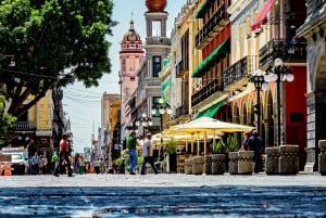 DESDE CDMX: Puebla y Oaxaca 5 DIAS
