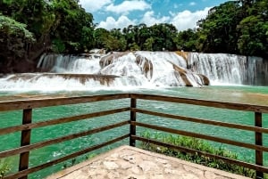 FROM CDMX: Puebla - Oaxaca - Chiapas - Palenque - Tabasco 7 DAYS