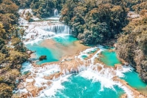 FROM CDMX: Puebla - Oaxaca - Chiapas - Palenque - Tabasco 7 DAYS