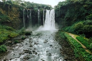 DESDE CDMX: Puebla, Oaxaca, Veracruz, Chiapas, Campeche, Yucatan 13 DIAS
