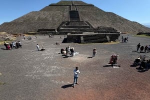 From CDMX: Teotihuacan Pyramids Express Exclusive Tour