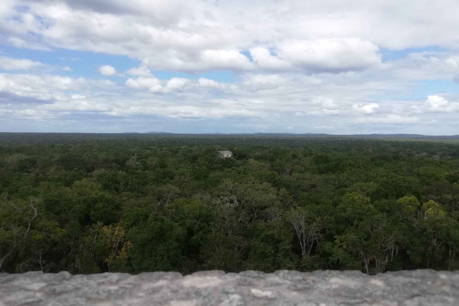 From Chetumal, Bacalar or Xpujil: Group Tour Calakmul