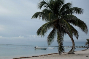 From Chetumal or Bacalar: Full-Day Beach Trip to Mahahual