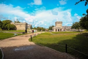 From Cozumel: Express Tour to Tulum Mayan Ruins