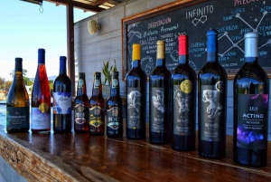 From Ensenada: Ojos Negros Valley Cheese & Wine Tasting Tour