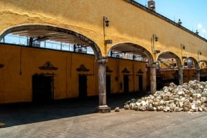 From Guadalajara: Jose Cuervo Distillery & Tequila Town Tour