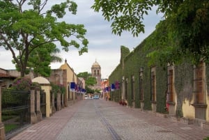 From Guadalajara: La Rojeña Distillery & Jose Cuervo Train