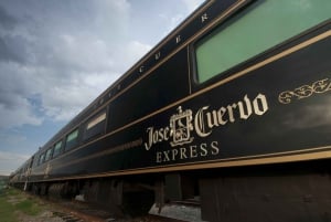 From Guadalajara: La Rojeña Distillery & Jose Cuervo Train