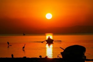 From Guadalajara: Chapala Lake & Ajijic Tour