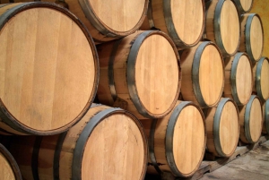 From Guadalajara: Tequila and Distillery Tour with Tastings