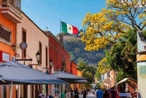 From Guadalajara: Tequila and Distillery Tour with Tastings