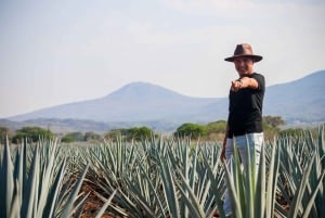 Desde Guadalajara: Excursión de un día a Tequila con opción José Cuervo