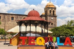 From Guadalajara: Tequila Trail Tour with Tasting