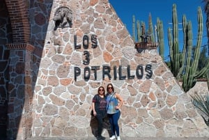 From Guadalajara to Chapala Lake: Funny and cultural tour