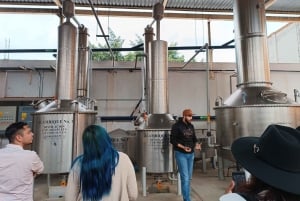 From Guadalajara: Tequila Tour with Tastings