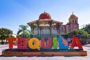 Desde Guadalajara: recorrido por la ciudad de Tequila y la fábrica de José Cuervo