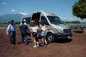 From Guadalajara: Town of Tequila & Jose Cuervo Factory Tour