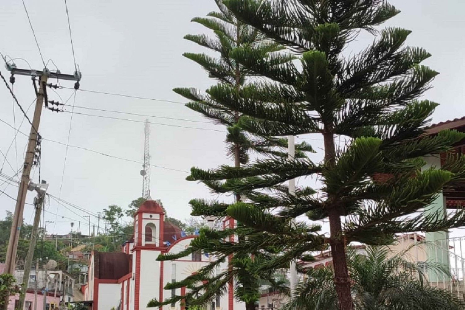 Desde Huatulco: Café Experiencia Privada