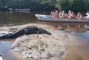 Desde Huatulco: Excursión Ecológica Cocodrilos y Tortugas