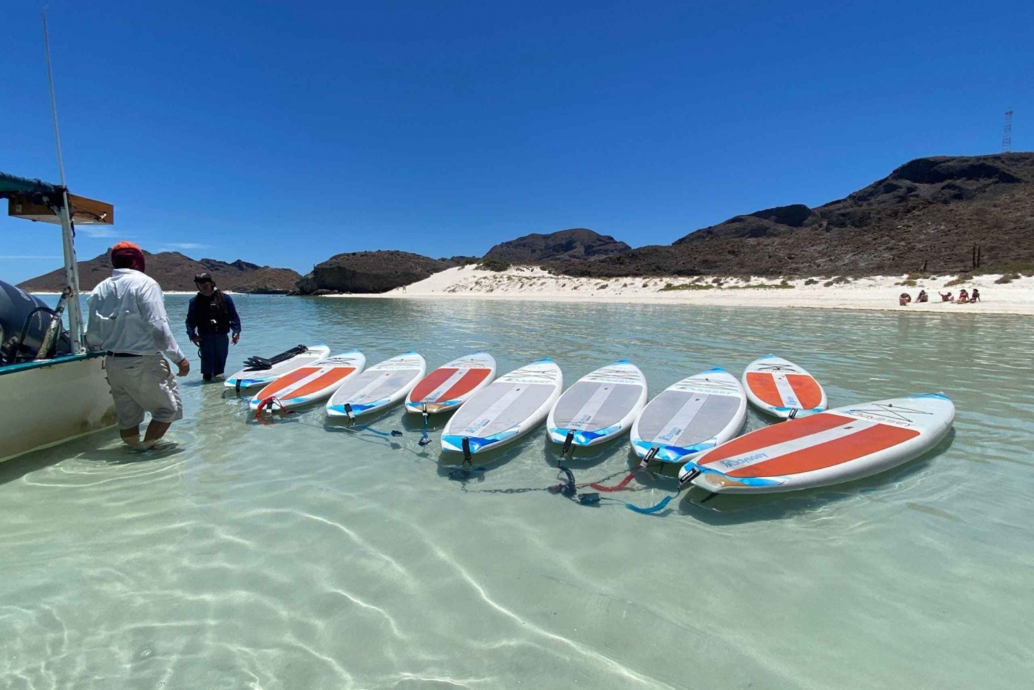 From La Paz: Sea Lions & Paddleboard Tour in Balandra