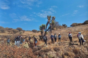 Desde León: Los Panales Excursión de un día de aventura con desayuno