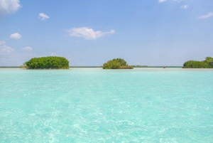 From Mayan Riviera/Tulum: Bacalar and Lagoon of 7 Colors