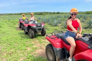 Desde Mazatlán: Excursión en quad por la Sierra Madre con comida