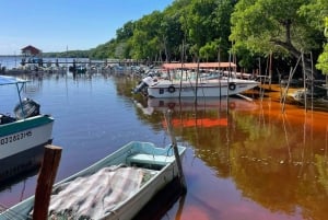 From Merida: Celestún biosphere, boat ride, and Beach day