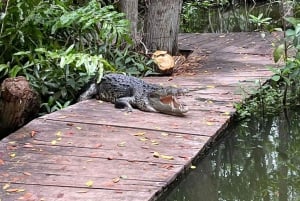 From Merida: Celestún biosphere, boat ride, and Beach day