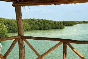 Desde Mérida: Excursión de Observación de Flamencos en Celestún con Comida