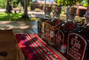 Desde Mérida: Excursión a Chichén Itzá y Cenote con Comida Buffet