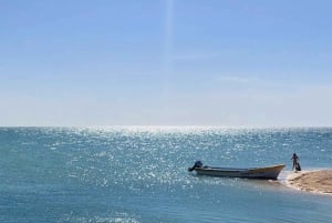 Desde Mérida: Isla Columpios y Progreso