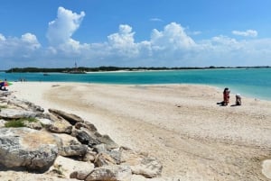 Desde Mérida: Isla Columpios y Progreso