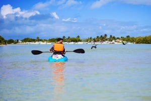 Desde Mérida: Isla Columpios y Progreso