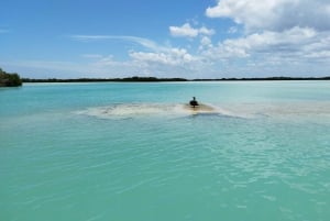 Desde Mérida: Isla Columpios y Progreso