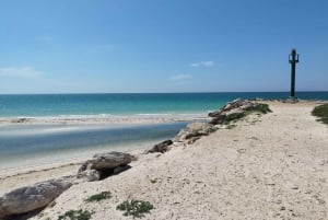 Desde Mérida: Isla Columpios y Progreso